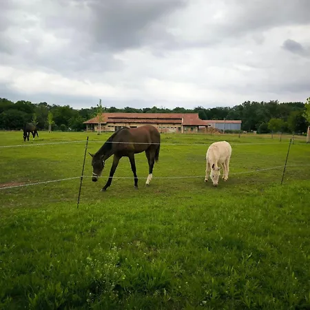 Zoofarma Konírna