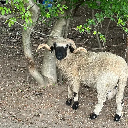Bauernhof Zoofarma Konirna *