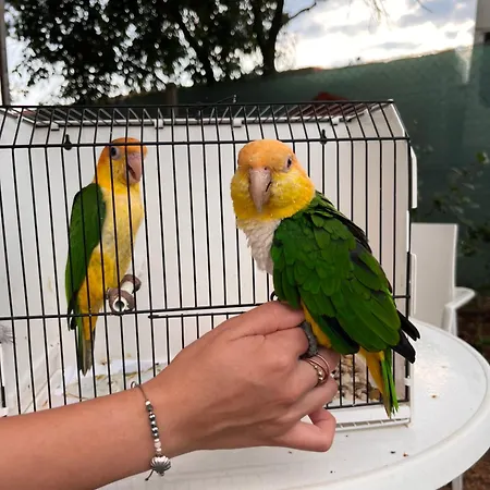 Bauernhof Zoofarma Konirna